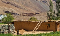 Ghazar 37 Pakistan